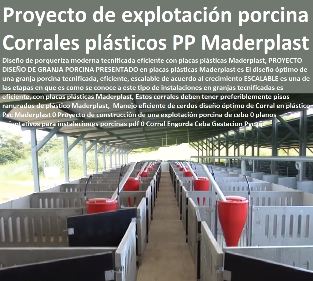 Manejo eficiente de cerdos diseño óptimo de Corral en plástico Pvc Maderplast 0 Proyecto de construcción de una explotación porcina de cebo 0 planos orientativos para instalaciones porcinas pdf 0 Corral Engorda Ceba Gestación Pvc pp Manejo eficiente de cerdos diseño óptimo de Corral en plástico Pvc Maderplast 0 Proyecto de construcción de una explotación porcina de cebo 0 planos orientativos para instalaciones porcinas pdf 0 como criar marranos, cómo criar cerdos técnicas modernas, manual para criar cerdos, como hacer un criadero de cerdos, cría de cerdos rentabilidad técnicamente, como engordar cerdos con maíz tecnificado, instalaciones para cría de cerdos, Corral Engorda Ceba Gestación Pvc pp